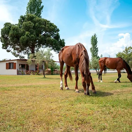 Tatil Evi Ippoliti *