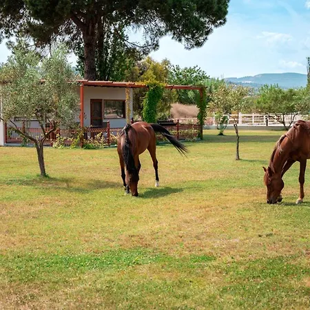 Tatil Evi Ippoliti Ormos Panagias