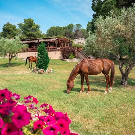 Holiday home Ippoliti *