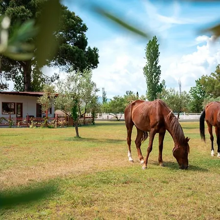 Holiday home Ippoliti *