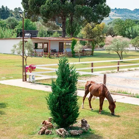 Holiday home Ippoliti