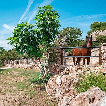 Ippoliti Holiday home Ormos Panagias